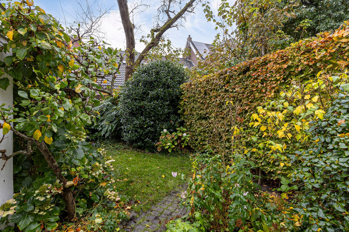 Foto 55 van Albertstraat 15