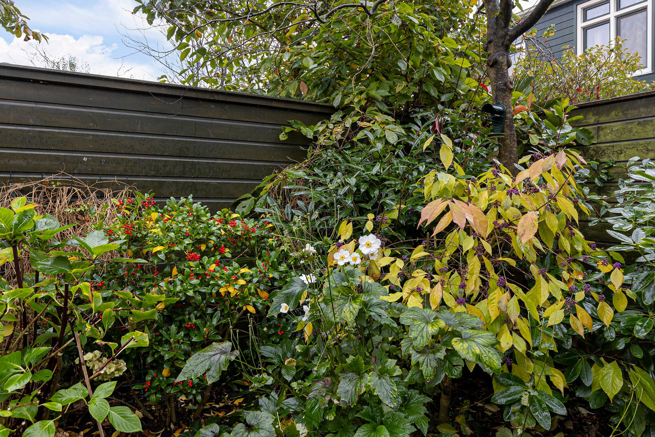 Foto 57 van Albertstraat 15