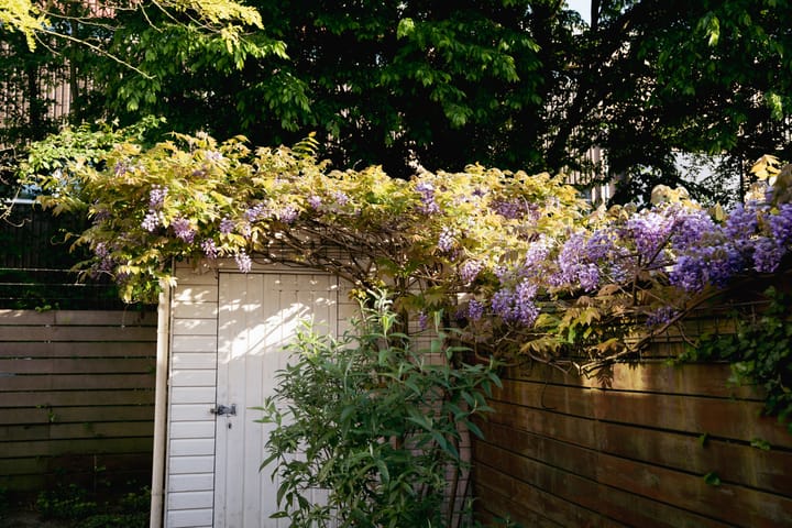 Foto 52 van Peizerweg 16