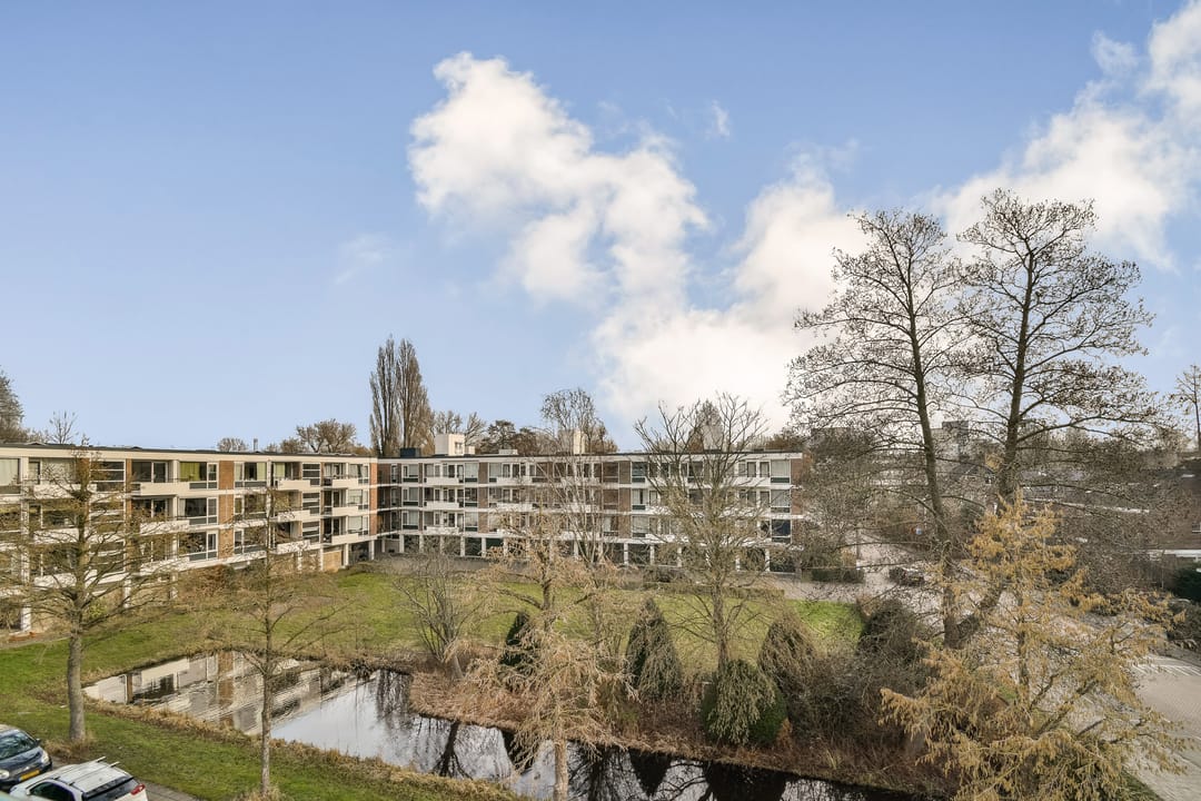 Foto 13 van De Lairesselaan 165