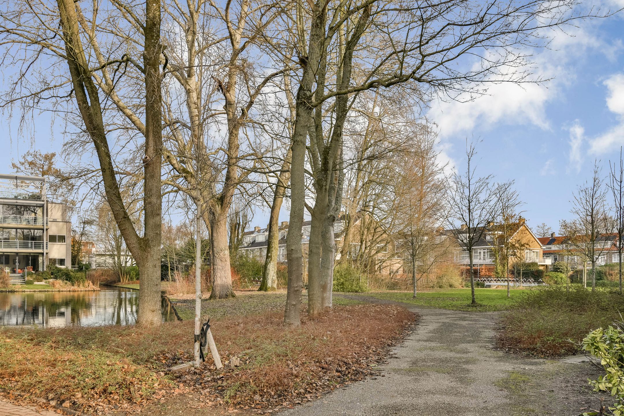 Foto 27 van De Lairesselaan 165