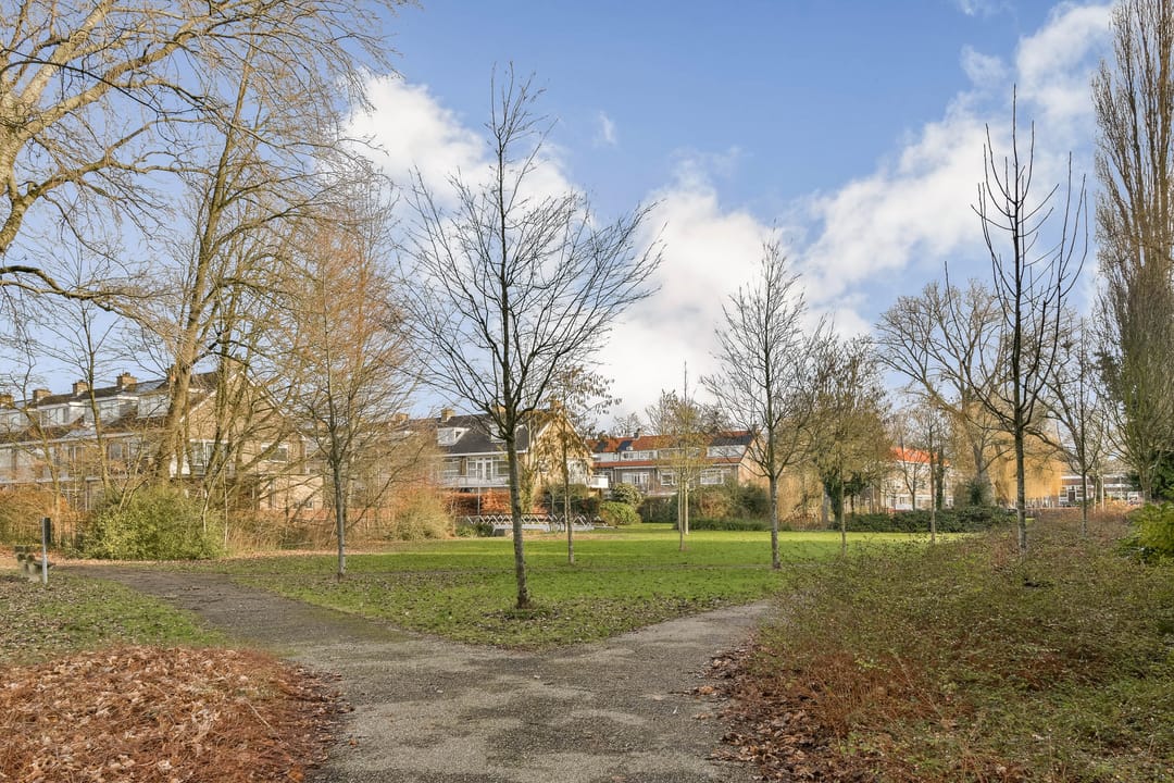 Foto 28 van De Lairesselaan 165