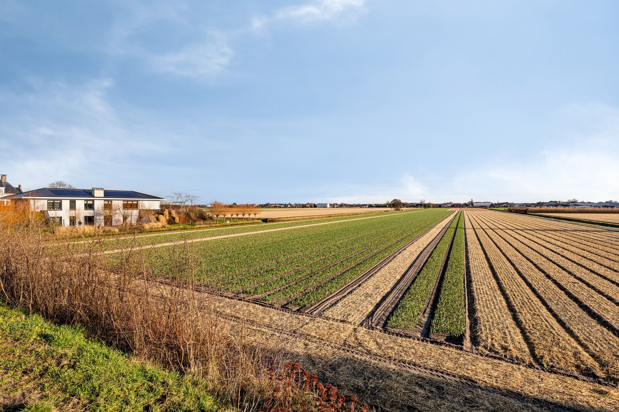 Photo 3 of Regenvlietweg 47