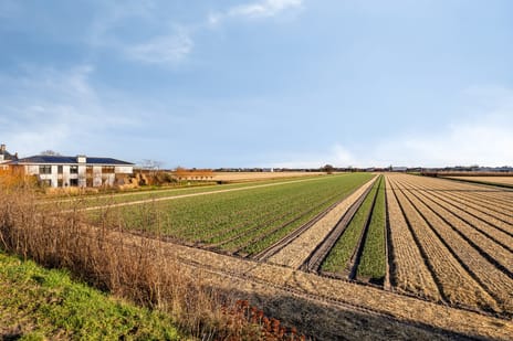 Regenvlietweg 47 tertiary image