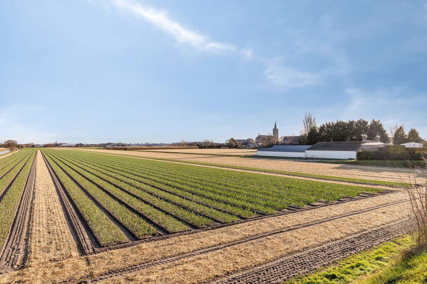 Photo 29 of Regenvlietweg 47