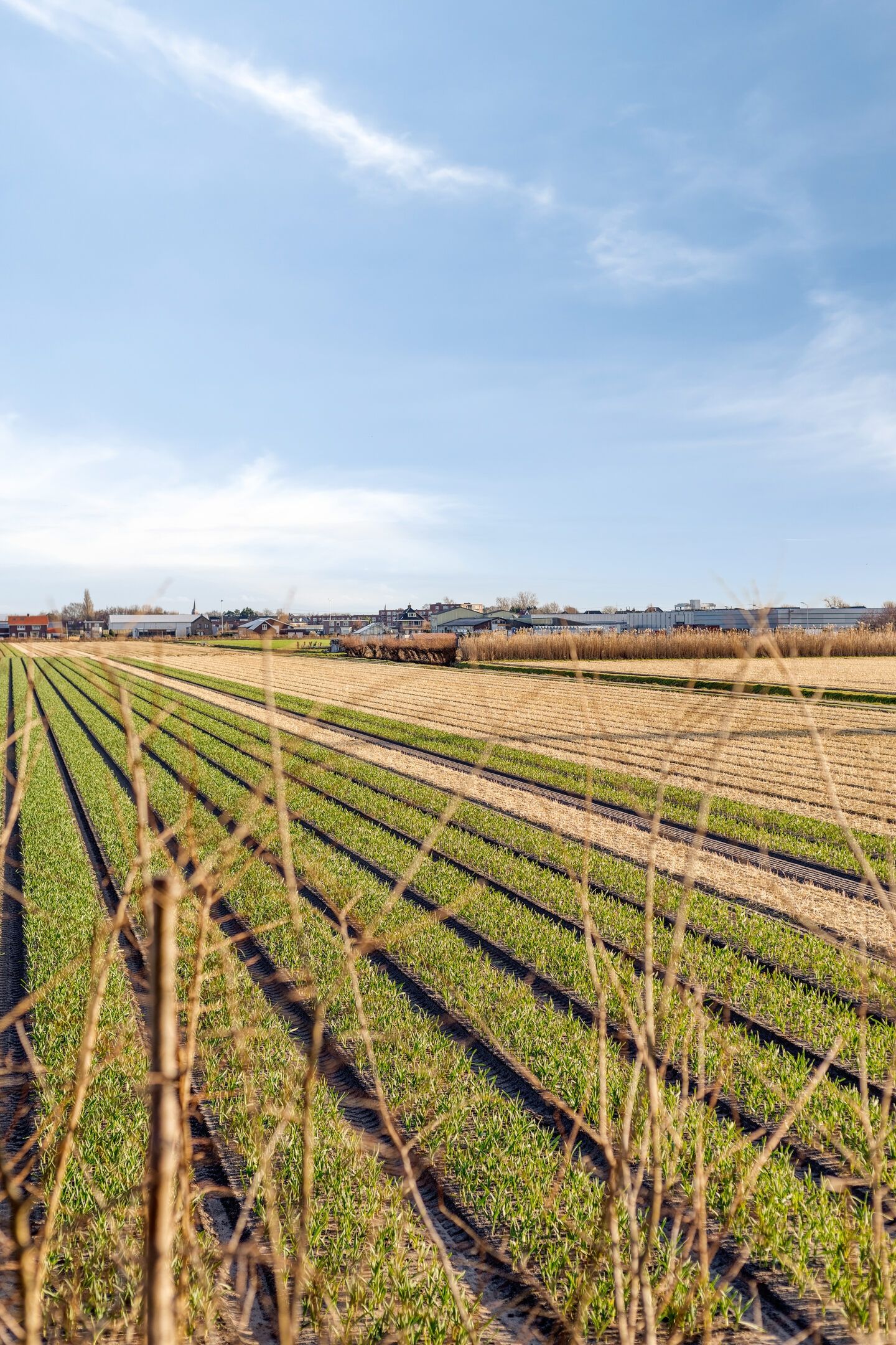 Photo 30 of Regenvlietweg 47