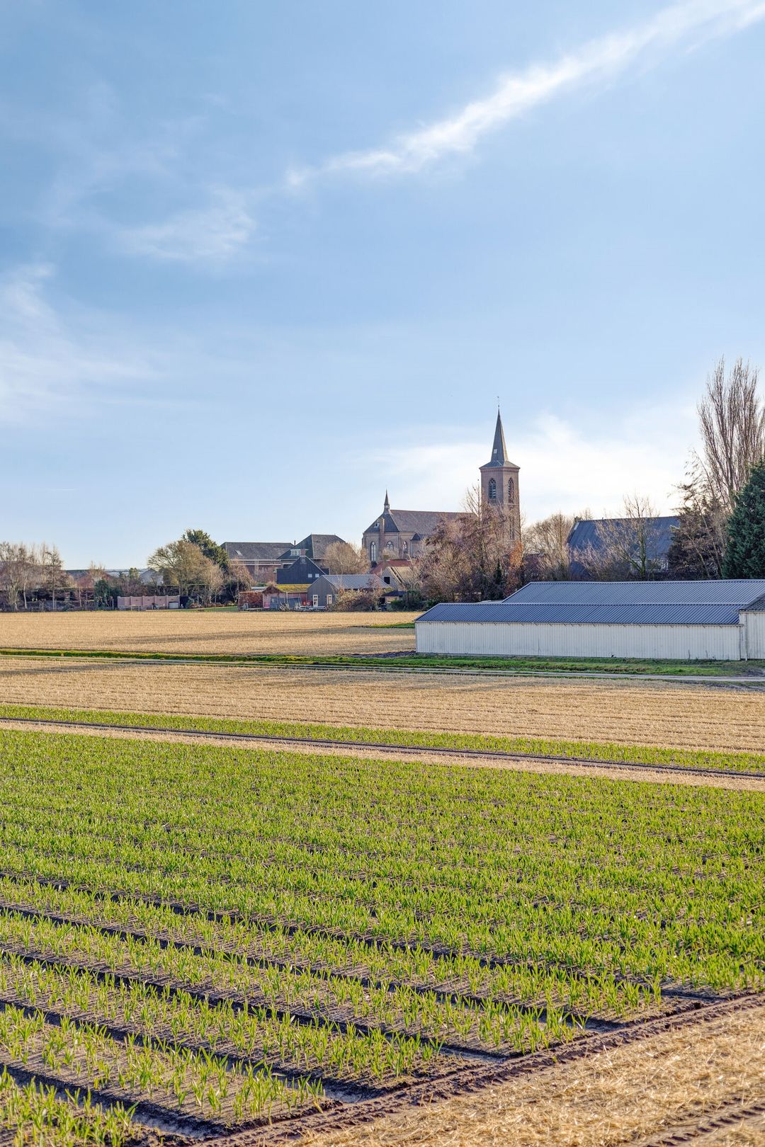 Photo 31 of Regenvlietweg 47
