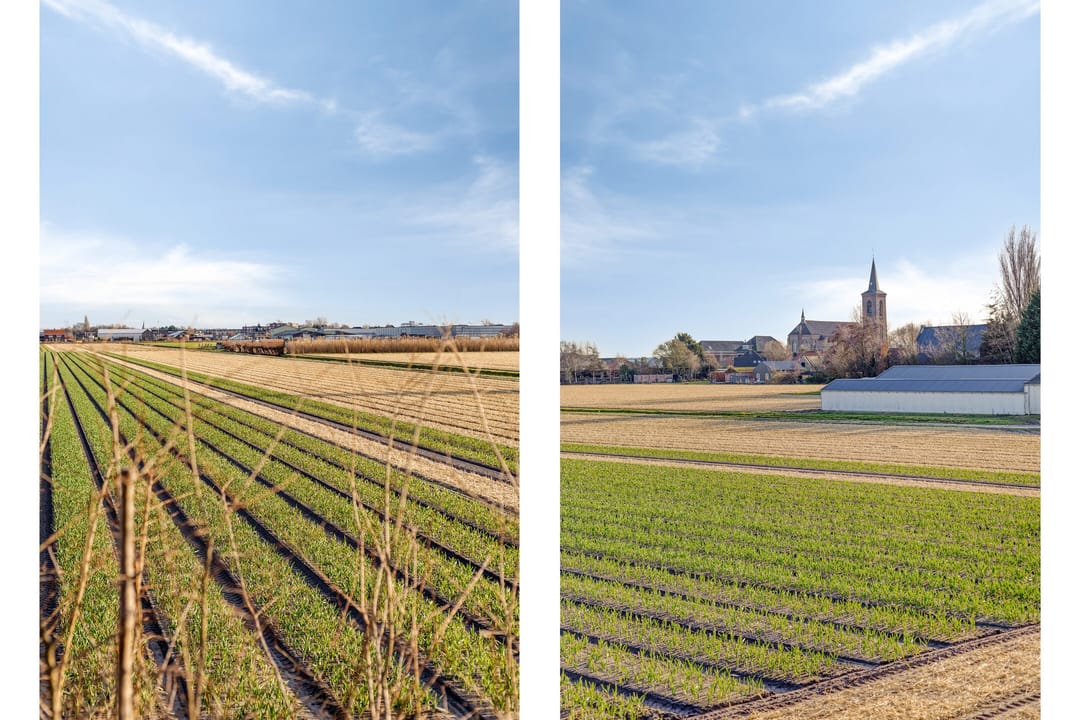 Photo 32 of Regenvlietweg 47