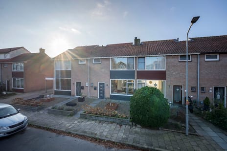 undefined main image