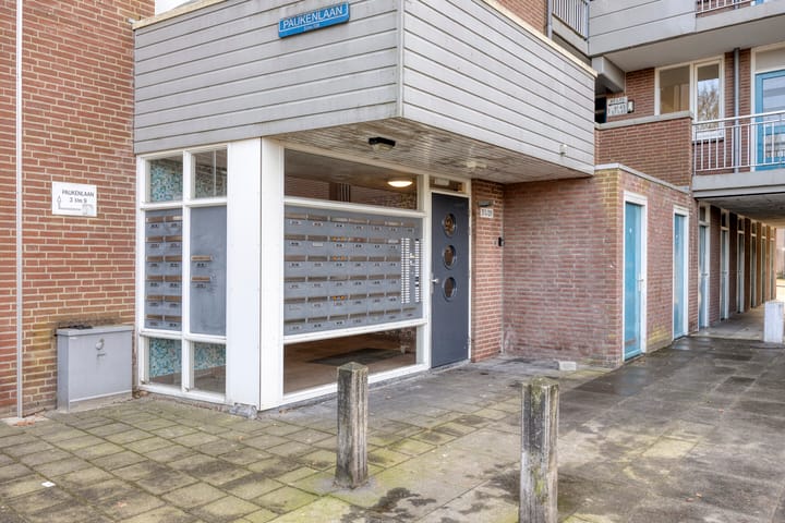 Foto 2 van Paukenlaan 53