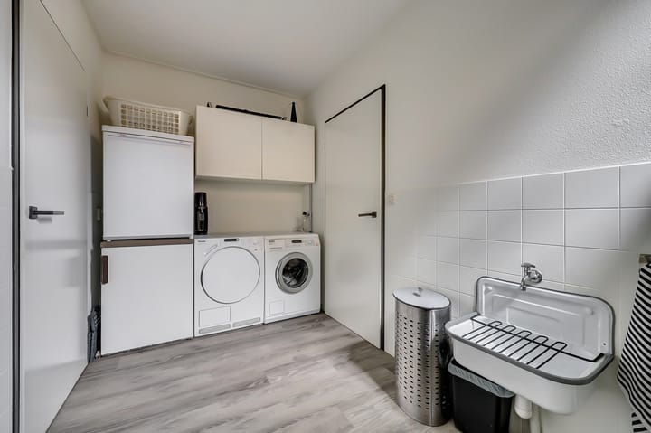 Foto 15 van Koriander 13