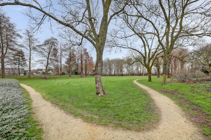 Foto 37 van Koriander 13