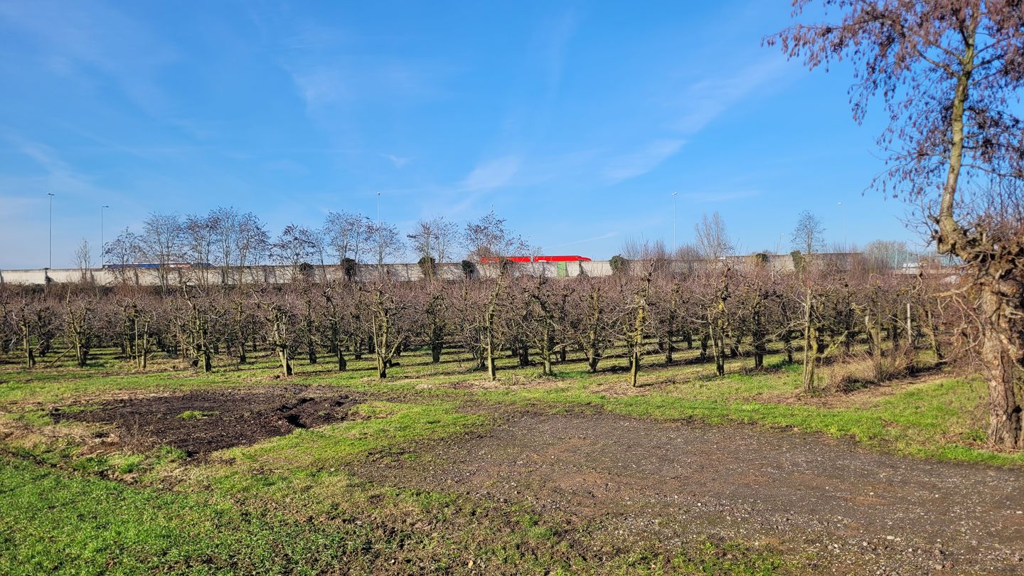 Bekijk foto 3 van Tielsestraat
