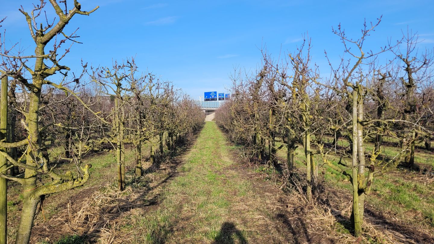 Bekijk foto 4 van Tielsestraat