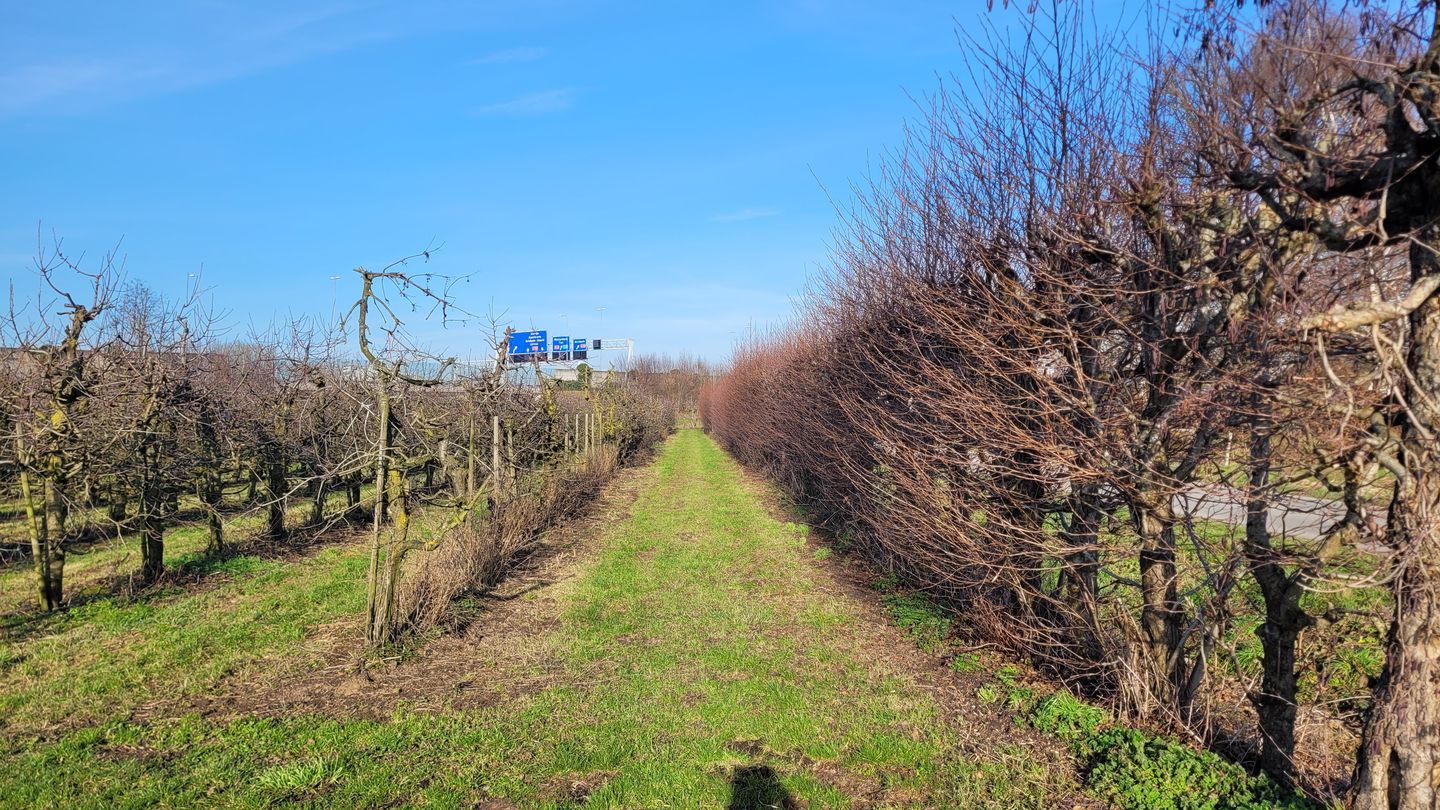 Tielsestraat - Herveld - Afbeelding 7