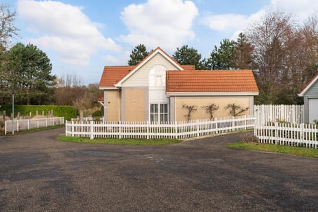 undefined main image