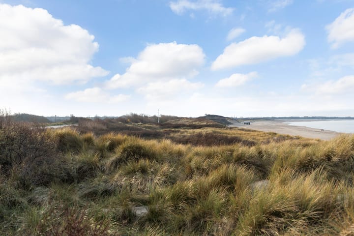 Photo 35 of Duinpan 65