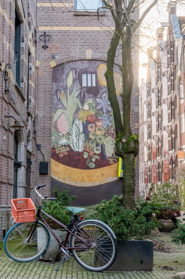 Photo 35 of Prinseneiland 50-2L