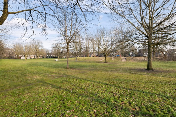 Foto 25 van Gerard Doustraat 98