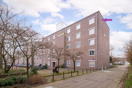 Hof van Groenen 42 secondary image