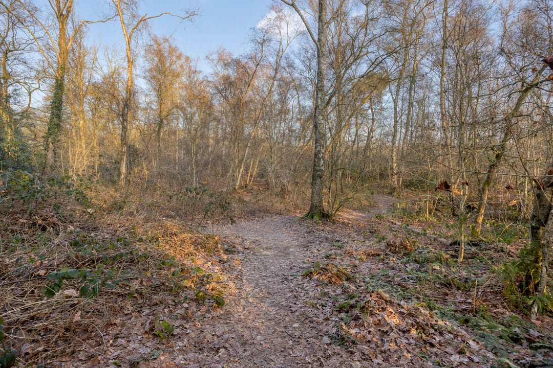 Foto 31 van Berkstraat 8