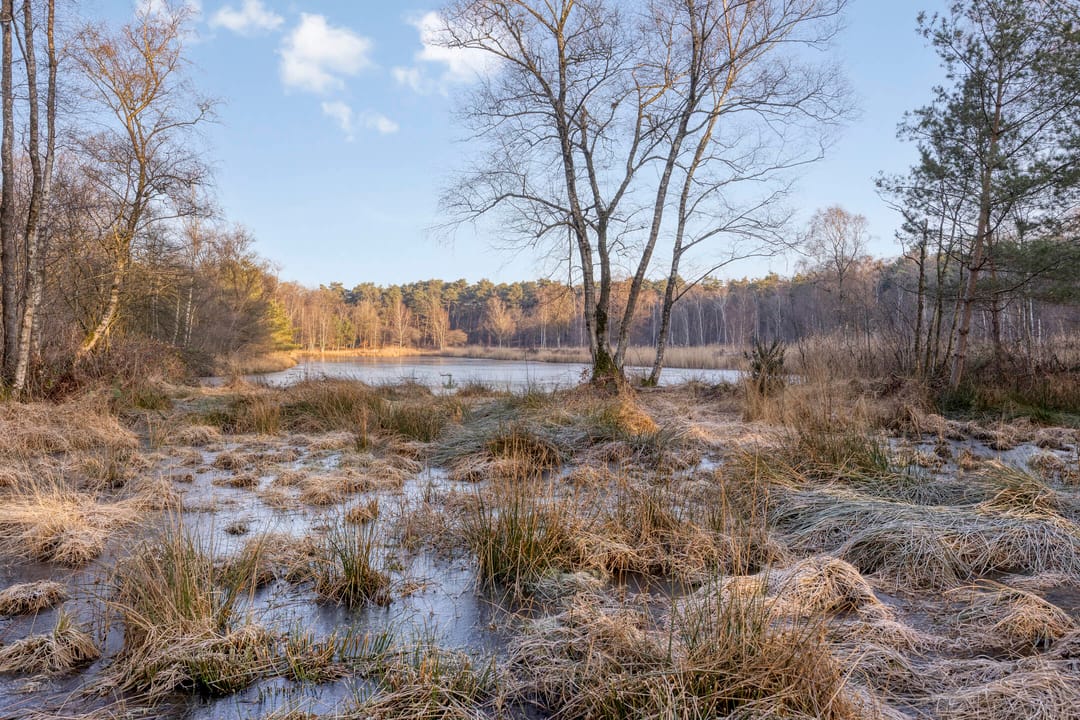 Foto 32 van Berkstraat 8