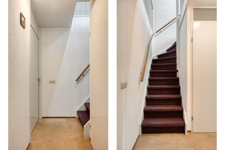 Foto 27 van Boomkruiper 2