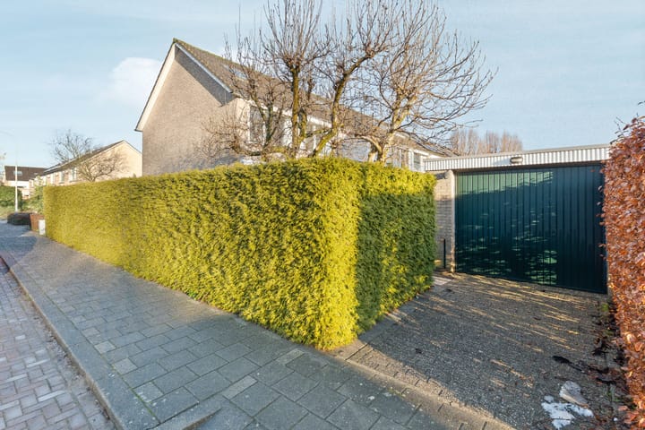 Foto 4 van Schaapsdrift 191