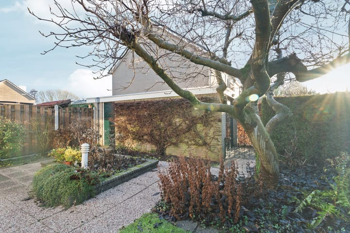 Foto 41 van Schaapsdrift 191