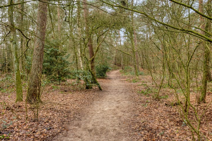 Foto 71 van Bosstraat 78