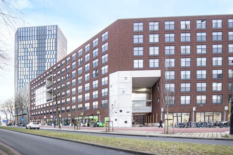 undefined main image