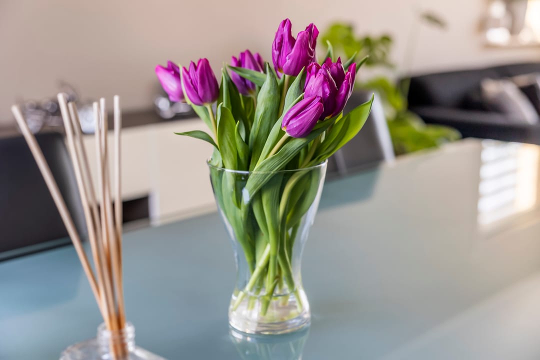 Foto 7 van Frans Halsstraat 30