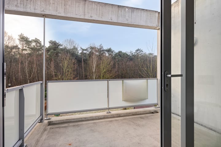 Photo 30 of Sporenring 250