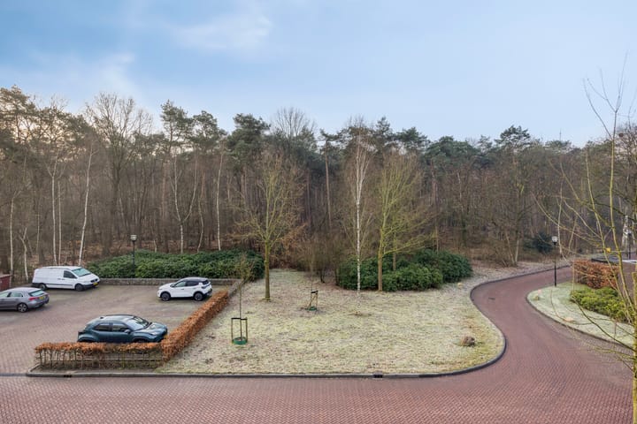 Photo 32 of Sporenring 250