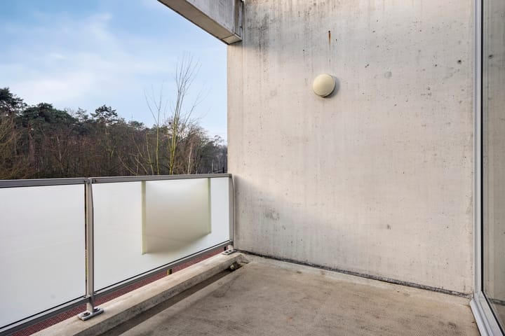 Photo 33 of Sporenring 250