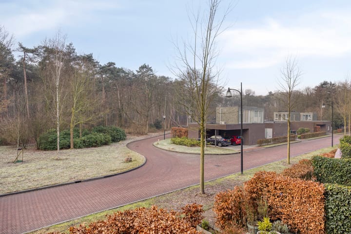 Photo 54 of Sporenring 250