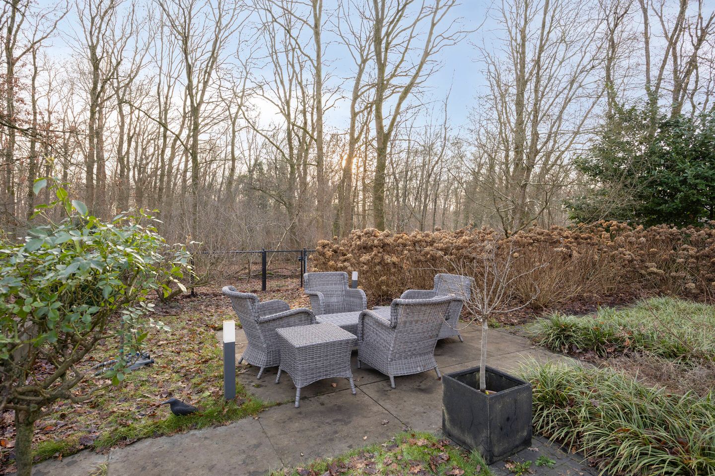 Foto 55 van De Messemaker 43