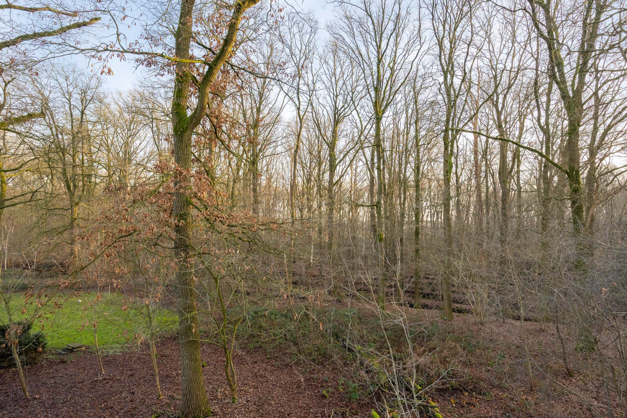 Foto 60 van De Messemaker 43