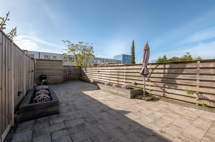 Photo 41 of Jadeplantsoen 34