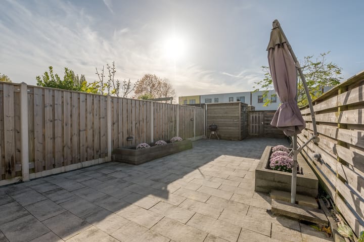 Photo 42 of Jadeplantsoen 34