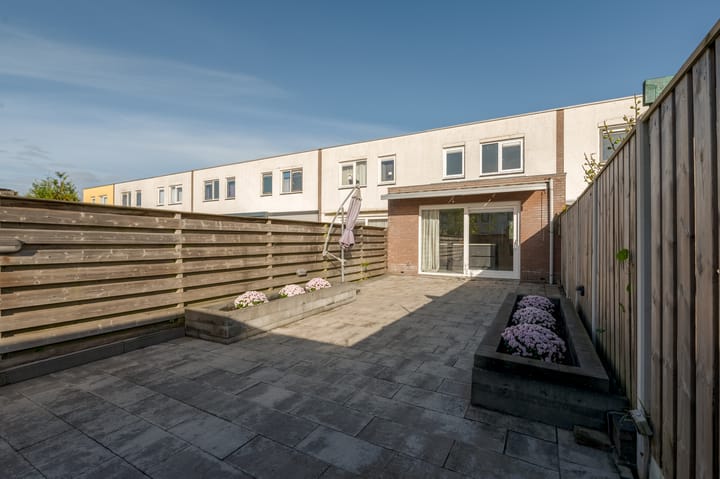 Photo 44 of Jadeplantsoen 34