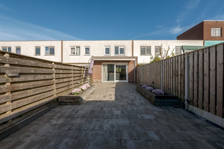 Photo 45 of Jadeplantsoen 34