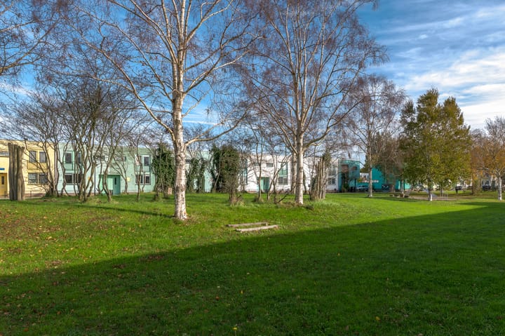 Photo 47 of Jadeplantsoen 34