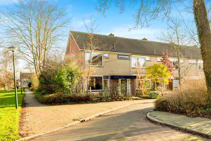 Foto 5 van Termijen 28