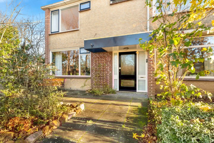 Foto 6 van Termijen 28