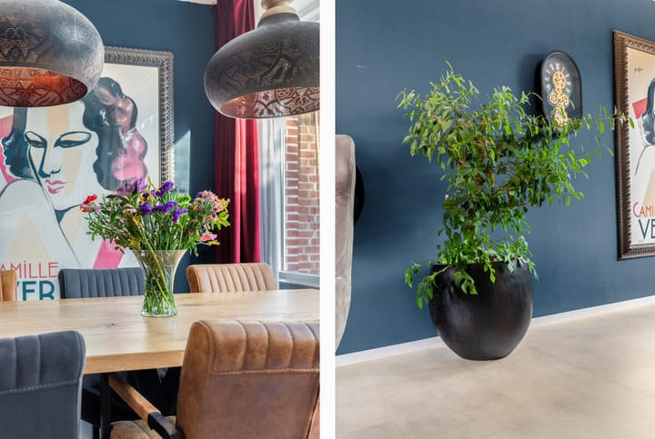 Foto 19 van Termijen 28