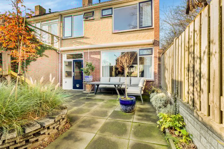 Foto 37 van Termijen 28