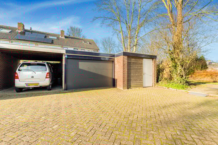 Foto 41 van Termijen 28