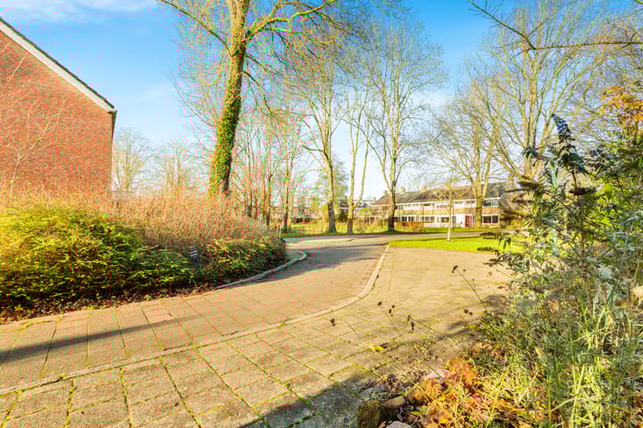 Foto 42 van Termijen 28