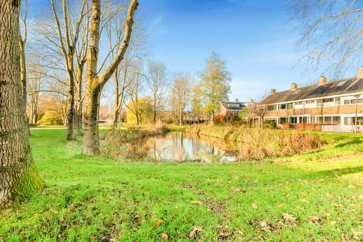 Foto 43 van Termijen 28